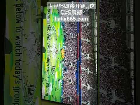 大连人,战平长春亚,吴伟世界波,开云体育,开云体育官网,开云体育app,开云体育app下载