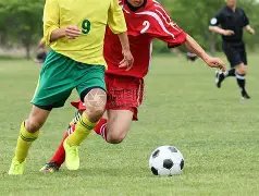 昔日场均,球星,夺冠梦碎今,开云体育,开云体育官网,开云体育app,开云体育app下载