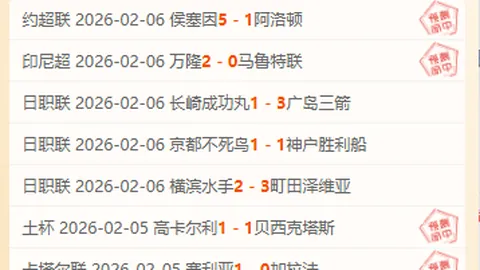 体育赛事新闻稿撰写示例：体育基本理论探讨及体育娱乐综合体概览